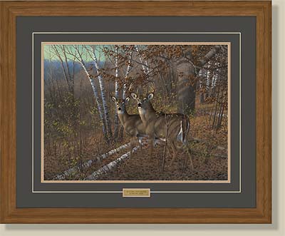 Acute Pair-Whitetail Deer by Michael Sieve
